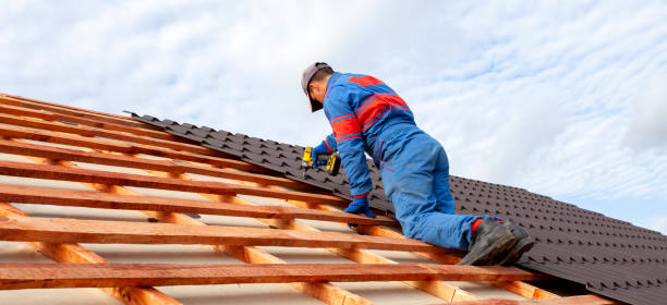 Best Roof Installation  in Orlinda, TN