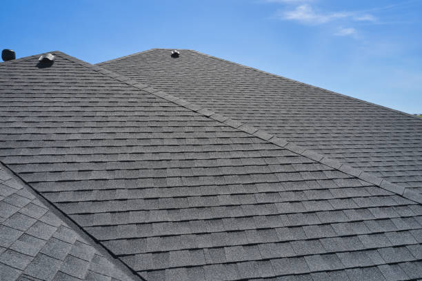 Best Gutter Installation and Repair  in Orlinda, TN